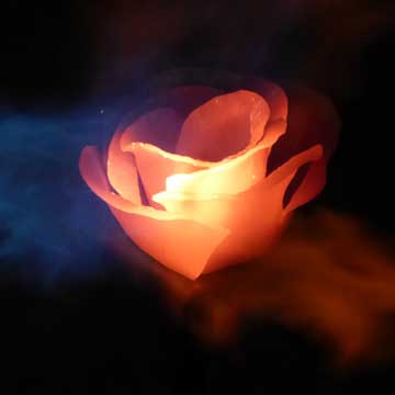 Forged Stainless Steel Rose Fire