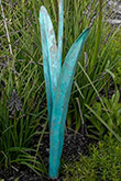 The blue green colour of copper's verdigris patina