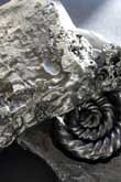 A metal ammonite fossil in burnt steel